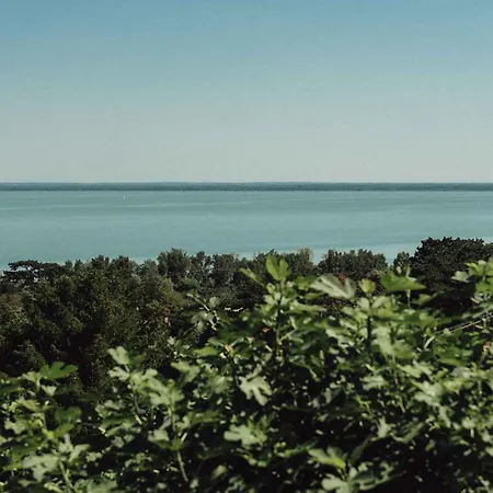 Apartamento In 43114